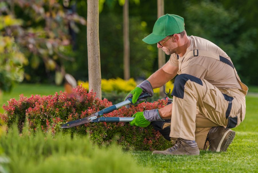 Grow a Landscaping Business