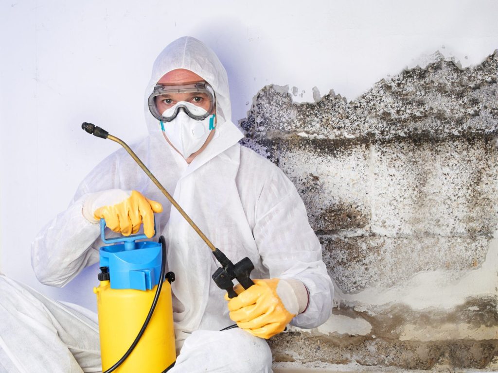 Mold Remediation Leads 4 Who This Is For - Mold Removal Marketing Services
