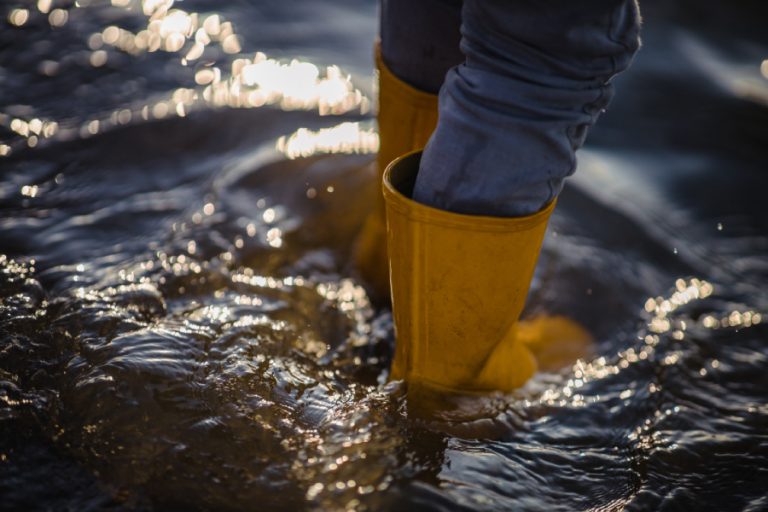 Flood Damage Leads 4 Flood Damage Lead Generation